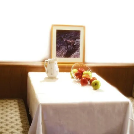 Bed & Breakfast Tiroler Adler